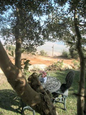 Casa De Giliz Διαμέρισμα Hararit Εξωτερικό φωτογραφία