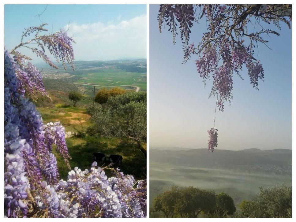 Casa De Giliz Διαμέρισμα Hararit Εξωτερικό φωτογραφία